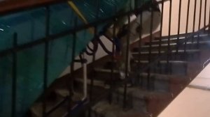 Подъем холодильника в одно лицо на ручной тележке. Ладный извозчикЪ.