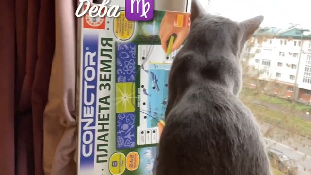 КАК ЗНАКИ ЗОДИАКА ХОДЯТ В ШКОЛУ? смотреть онлайн