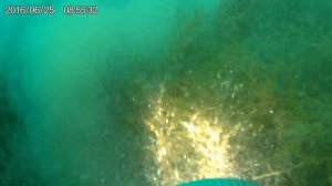 Подводная охота в Архипо-Осиповке