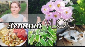 ОТ НАС УШЛА УЧИТЕЛЬ(( НАША ШКОЛА / СШИЛА ПОДСТИЛКУ ДЛЯ СОБАКИ и КОШКИ /ГОТОВЛЮ /ВАЙЛДБЕРРИЗ