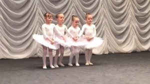 Балет Адажио Танец маленьких лебедей LekssaLove