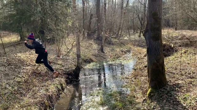 Тхэквондо ЦСКА. Тренировки в лесу. смотреть онлайн