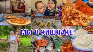 ЖИЗНЬ В КИШЛАКЕ‼️ГОТОВИМ ПЛОВ И ШУРПУ НА КОСТРЕ✅КАК МЕНЯ ВСТРЕТИЛИ ТАДЖИКСКИЕ РОДНЫЕ МУЖА