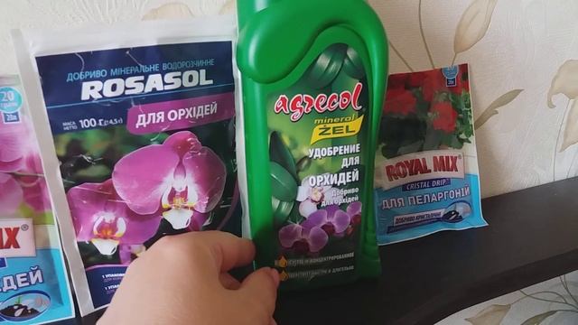 Как я ухаживаю за орхидеями, когда они не цветут смотреть онлайн