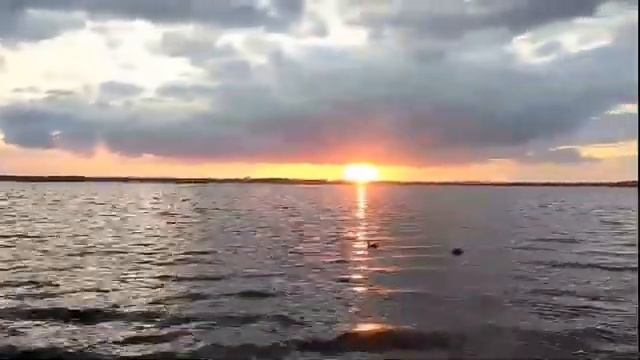 Самое известное и молодежное место на Минском море.