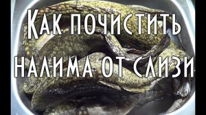 Как быстро почистить налима от слизи. Подготовка рыбы