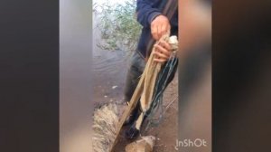 Ловля раков на кастинговую сеть