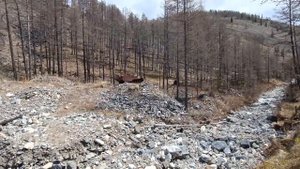 В поисках золота. Итоги экспедиции в верховья Витима. Золото найдено! - Сколько и куда дели золото?