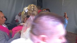 Чудово свадьба Ярослав и Снежана 22.06.2023г Часть 2