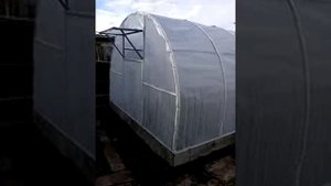 Теплица 3м на 6м своими руками 2