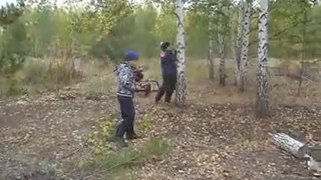 Пилим ветки 21 09 19