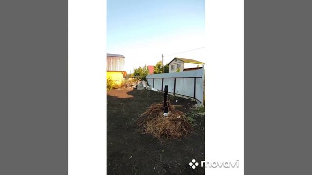 дача Старосемейкино