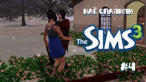 Летсплей Симс 3 | одно поколение - одно дополнение #4