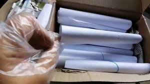 новые сорта - КОЛЕУСЫ!