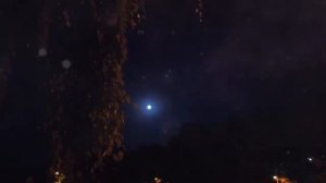 Виктор Могилатов - Волчица