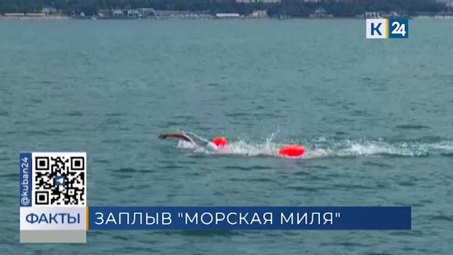 Стартовала регистрация пловцов на заплыв «Морская миля» в Геленджике