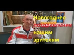 Школа бокса - новогоднее поздравление нашим зрителям