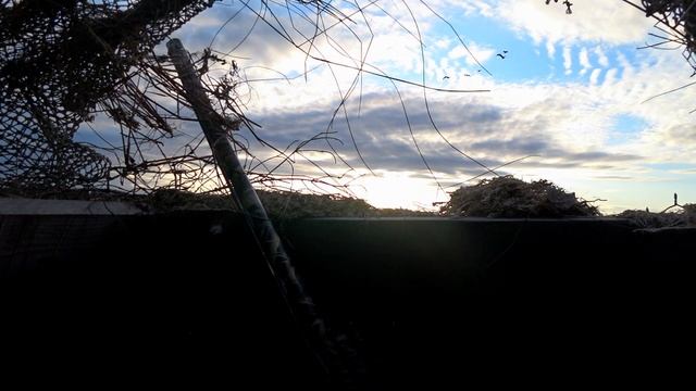 ОХОТА НА ГУСЯ 2022. КАРЕЛИЯ