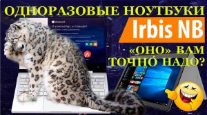 Одноразовые ноутбуки на примере бюджетного IRBIS NB. Оно вам надо Ремонт ноутбука, бессмысленный и