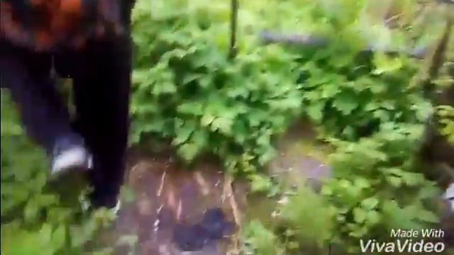 Заброшенные сады чась 1 смотреть онлайн