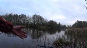 Моё место для ловли линя весной. Рыбалка на линя обзор места