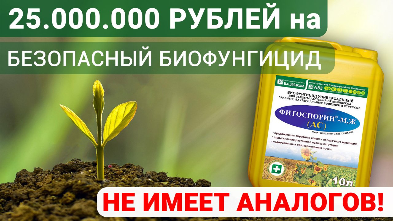 Не имеющий аналогов в мире наш Фитоспорин-АС  выиграл грант!