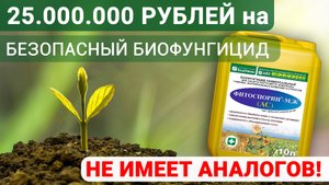 Не имеющий аналогов в мире наш Фитоспорин-АС  выиграл грант!