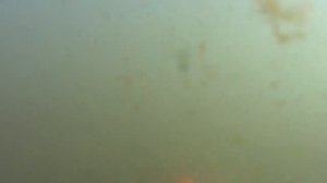 Подводный поиск с пинпоинтером СФИНКС 02 в АНАПЕ 2021 / МОРЕ ЛЮДЕЙ и ЗОЛОТА !!!