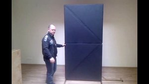 Двери Торглера эволюшн