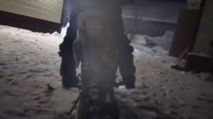 отстрелы на питбайке