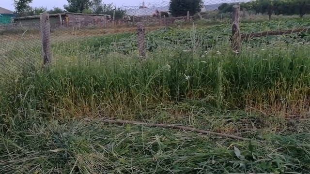Как живут в деревне России. Хутор в Волгоградской обл в дом бабы Вали Тарасовой х Черкесовский