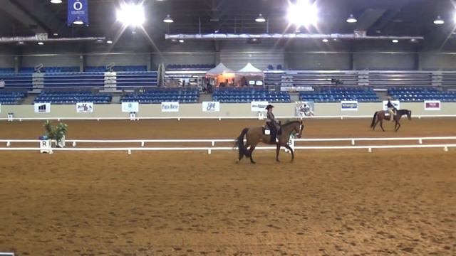 2015 WDAA World Show Level 3 Test 4 Lynn Palm and Larks Home Run смотреть онлайн
