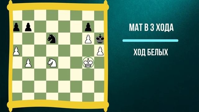 Мат в 3 хода \ Красивые шахматные задачи для начинающих