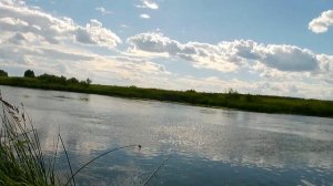 Рыбалка Нижегородская область река Пьяна. Рыбалка на спининг. Как поймать сома на джиг.