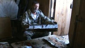 часть первая Выделка бересты для пластинчатой мозаики