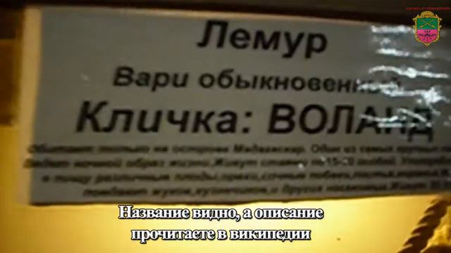 Выставка экзотических животных. смотреть онлайн