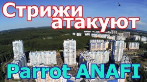 Продолжаю тестировать Попугая - дрон Parrot ANAFI