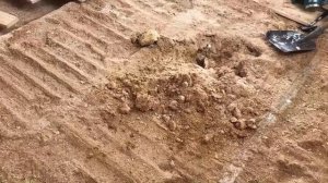 Строительство из опилок зимой: срочный вопрос знатокам!