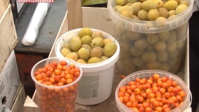 В Новочебоксарске продолжает свою работу сельскохозяйственная ярмарка «Дары осени – 2018» смотреть онлайн