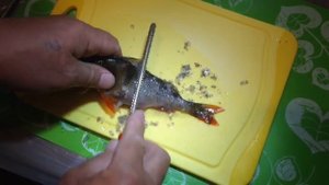 Супер-рыбочистка