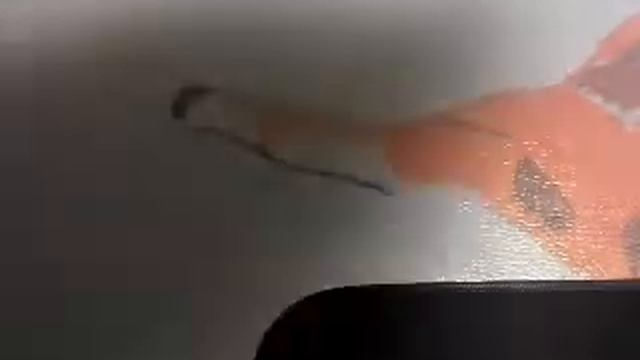 Как сделать мини скейт из картона! смотреть онлайн