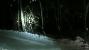 Ксеноновый фароискатель 55W