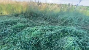 Какую катушку-шпулю выбрать для своей бензокосы-триммера Сравниваем ,тестируем что лучше ?♂️