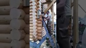 Супер , отпилить торцы сруба!