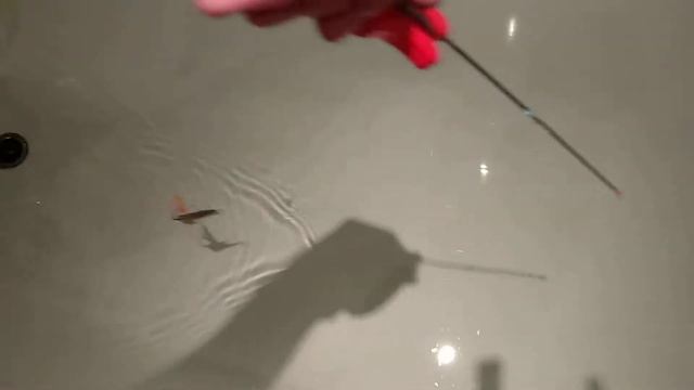 незацепляйка "Кобра" без отгрузки смотреть онлайн