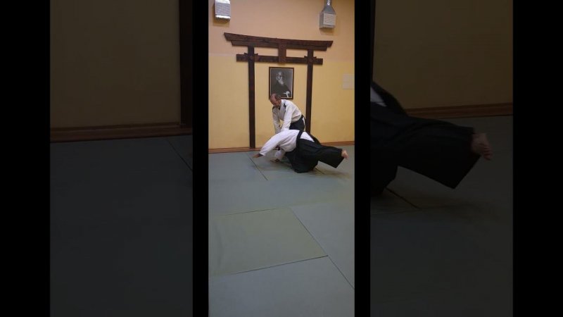 #айкидо #aikido #айкикай #aikikai  #martialarts #севастополь