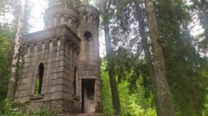 Боровичи и окрестности