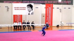 Ушу таолу (Wushu taolu 武术套路) Федерация Ушу Киров май 2017 Спортивное ушу,Sulu Pandy