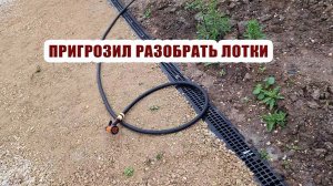 Курьер пообещал разобрать наши лотки | Отсыпали, утрамбовали, промыли водой