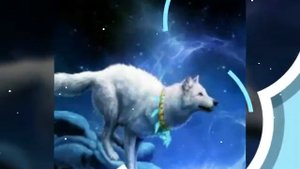 Клип на песню ,,Я похожа на волка,,